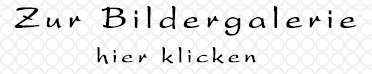 Zur Bildergalerie