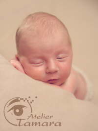 Neugeborene Baby Newborn Fotografie Stuttgart
