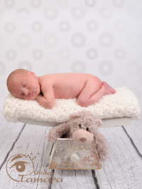newborn neugeborene