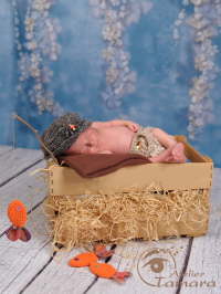 newborn