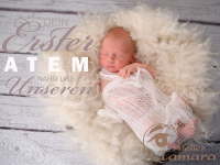 newborn