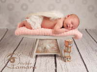 Neugeborene Baby Newborn Fotografie Stuttgart