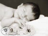 Neugeborene Baby Newborn Fotografie Stuttgart